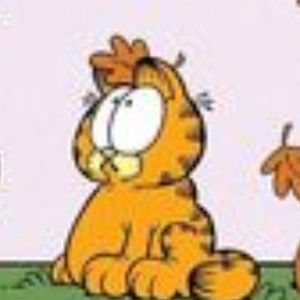 Meet your Posher, Isla